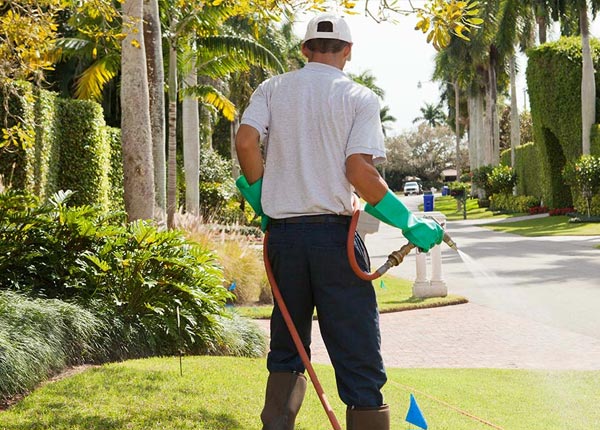 About East Nassau NY Pest Control